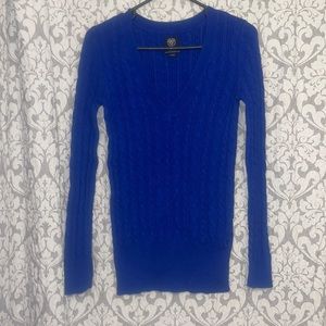 American Eagle Outfitters Blue V-Neck Sweater